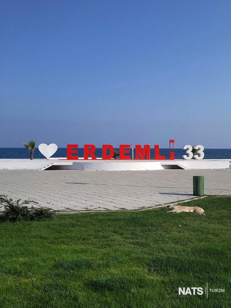 Erdemli Araç Kiralama